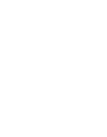Customization Power